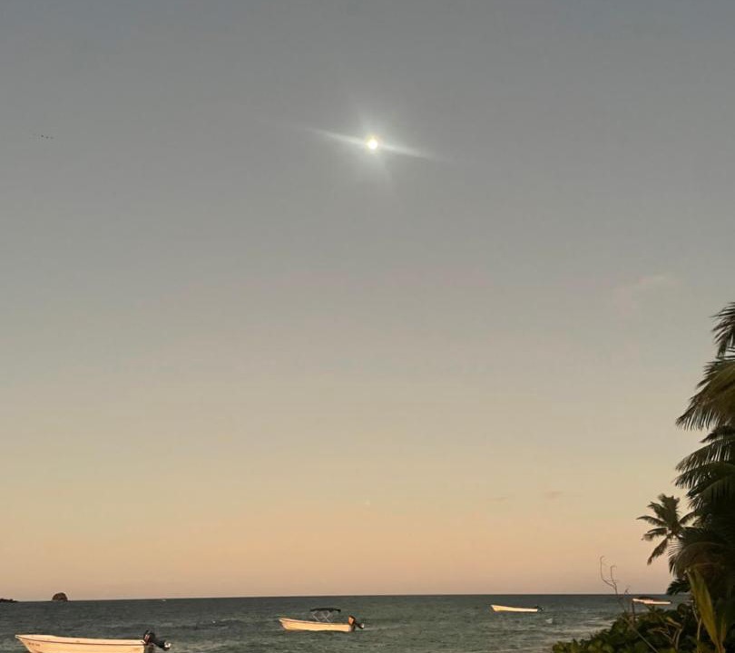 Photo of Others in Wayasewa Island