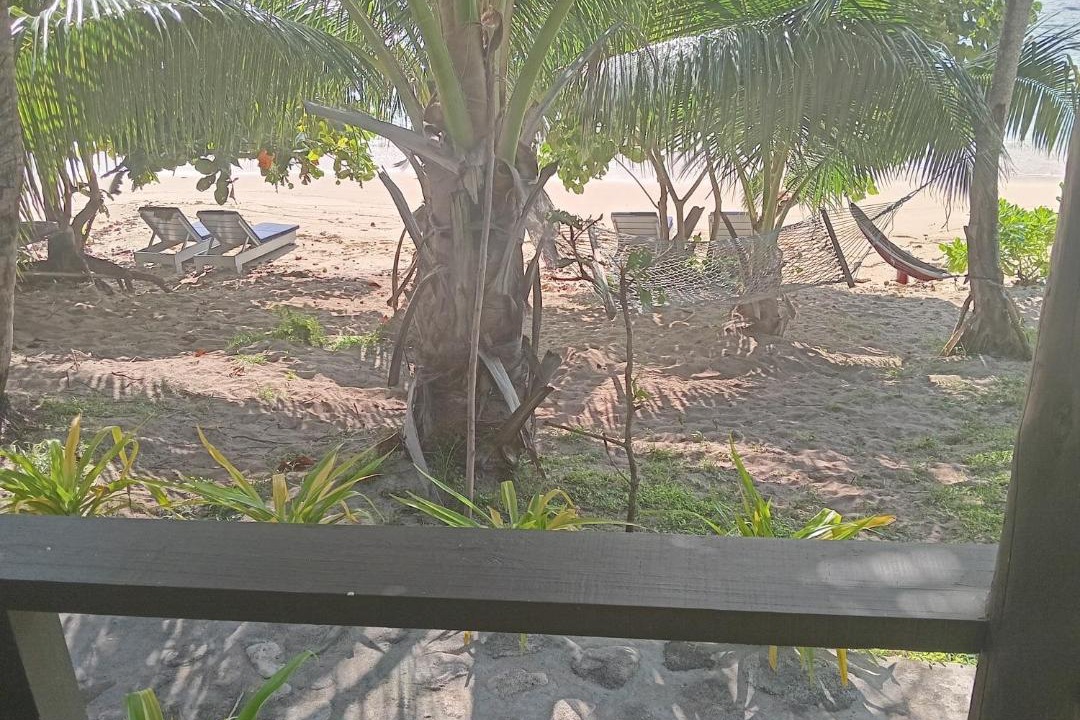 Photo of Others in Nalauwaki