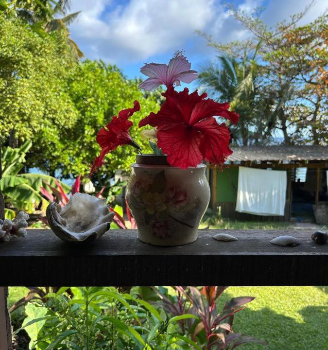 Photo of Others in Wayasewa Island