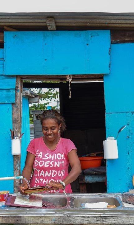 Photo of Others in Naviti Island