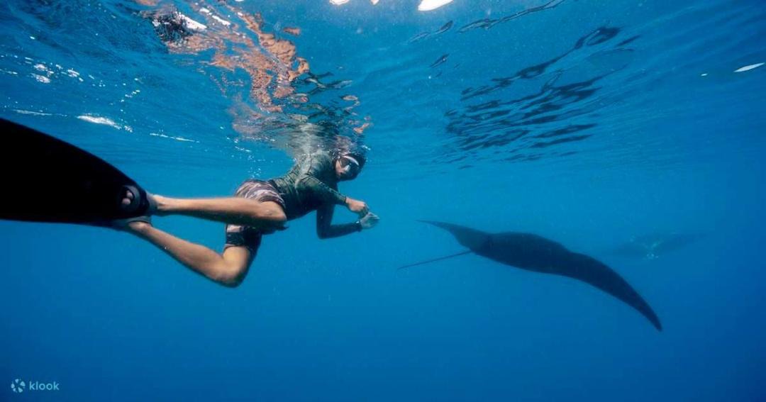 Photo of Human In Picture in Naviti Island