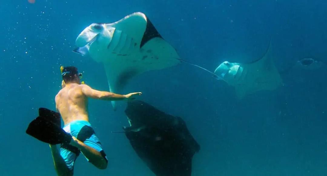 Photo of Others in Wayasewa Island