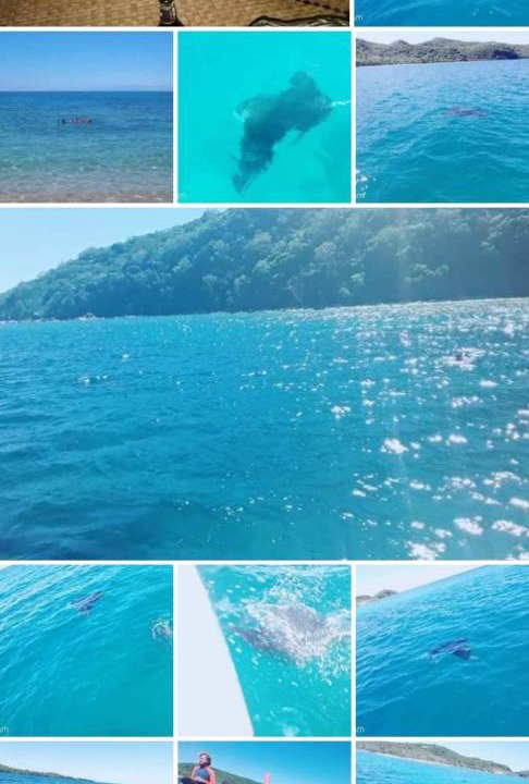 Photo of Others in Naviti Island