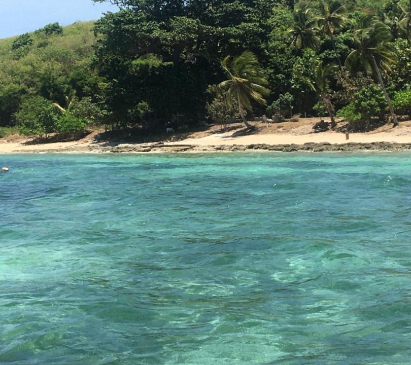 Photo of Others in Naviti Island