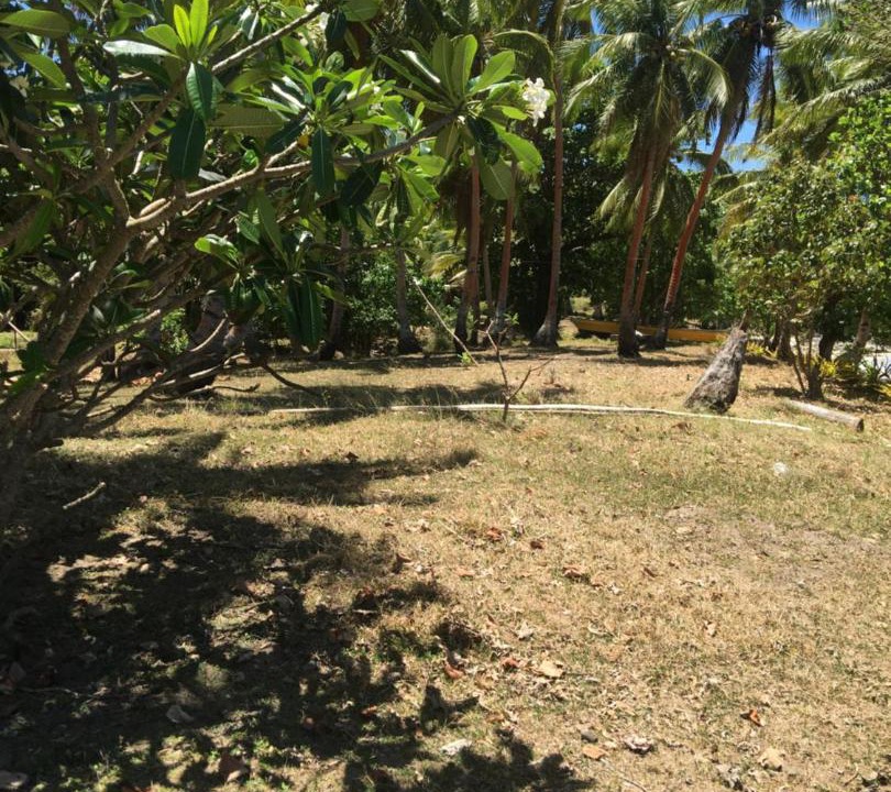 Photo of Others in Naviti Island