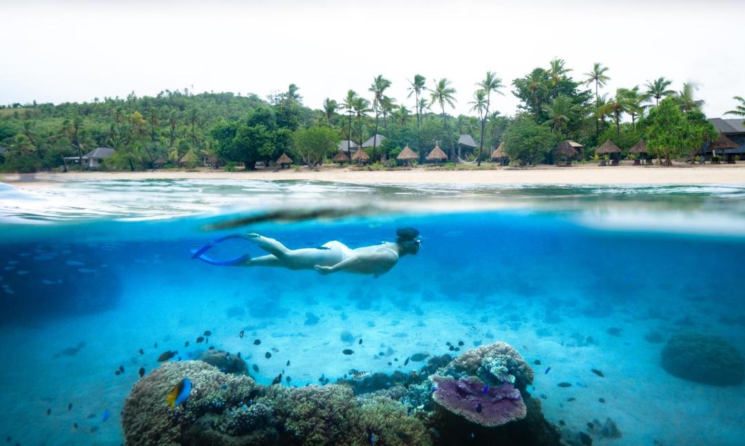 Photo of Others in Naukacuvu Island