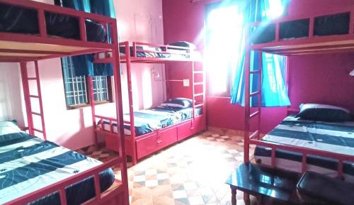 Bed in 6-Bed Dormitory Room
